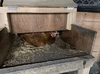 のびのび平飼い　赤鶏のたまご
