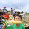 子どもたちが笑顔になる トウモロコシ 10本セット 淡路島野口ファーム