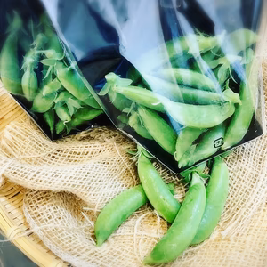 本日限定再販！《ほうじとさんちのスナップエンドウ》