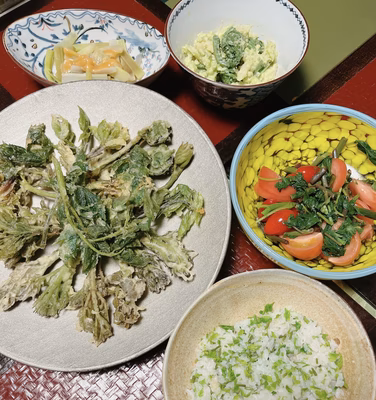 みんなの投稿の画像