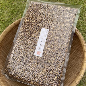 〈メール便〉もち麦（ダイシモチ）お得用900g【無農薬・無肥料 自然栽培】