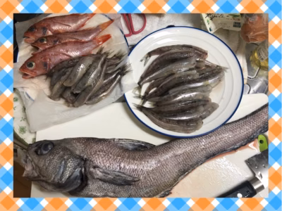 みんなの投稿の画像