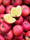 ラスト2箱‼️幻の蜜りんご山形県産こうとく【丸かじり2.6キロ】
