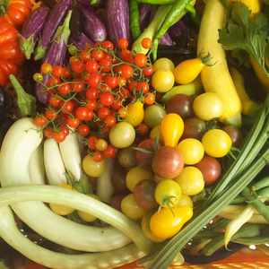 関口様専用 野菜セット 農薬 化学肥料不使用