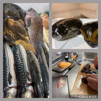 みんなの投稿の画像