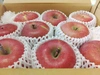 【12月初旬発送】長野産のりんごです。サンふじです。