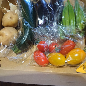 ♪送料クール込800円♪おまかせ夏野菜5～6品目（1.8ｋｇ）【無農薬】地域限定