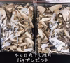 天然原木栽培　スライス干し椎茸100g 2袋＋おまけ丸干し椎茸15gプレゼント