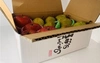 山形県産ラフランスとサンふじりんご【3キロ詰め合わせ】