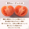 酸味と甘みのバランス抜群！三重県産 完熟大玉トマト『富丸ムーチョ』(1.2㎏)