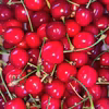 ☆減農薬栽培☆乳酸菌・ミネラルたっぷりで育ったさくらんぼ【紅さやか】