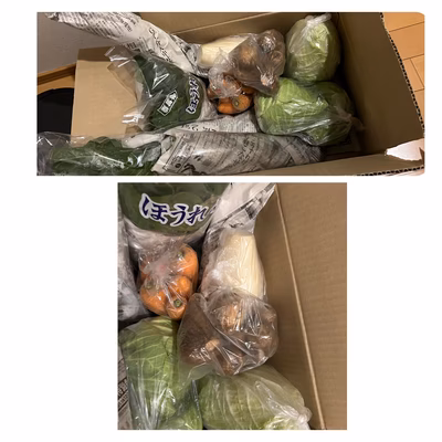 みんなの投稿の画像