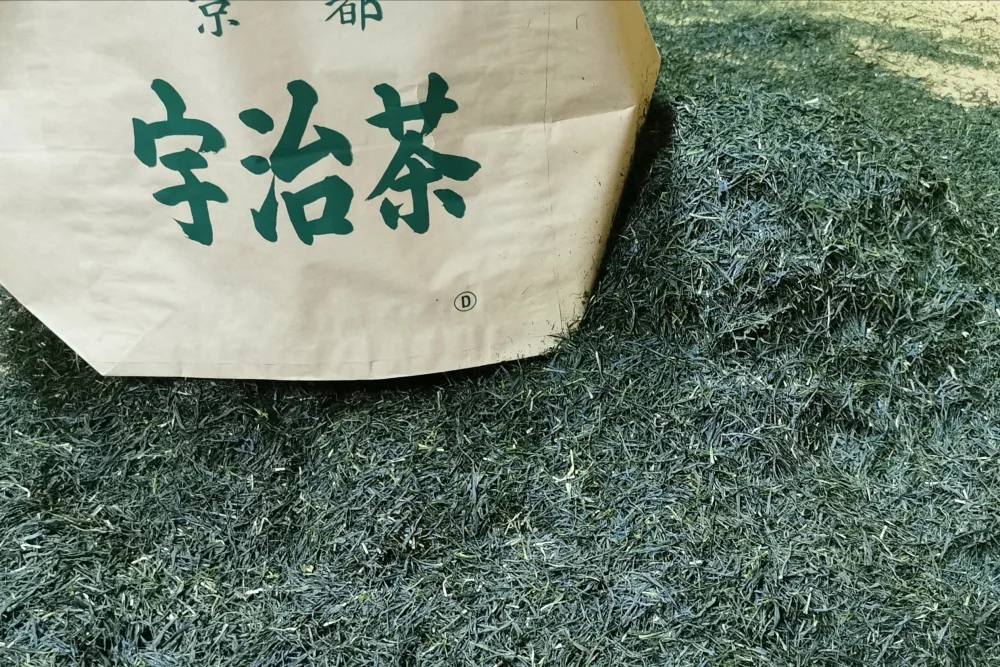 令和５年年新茶　宇治茶：煎茶・荒茶仕立て＜やぶきた＞