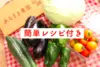 【レシピ付】あるまま農園・無農薬野菜セット＜M＞月1