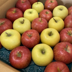 氷温冷蔵品シナノスイート、ゴールド 【スマフレ】