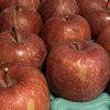 青森県産訳アリ【サンふじ】8〜10個売り3kg〜 