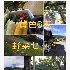 とうもろこし黄色6本➕野菜セット