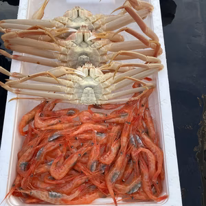 【数量限定】エビカニクス　秋田県にかほ市産