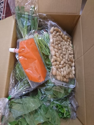 みんなの投稿の画像