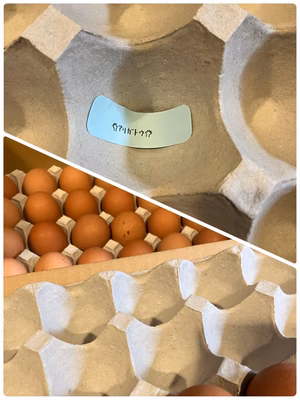 みんなの投稿の画像