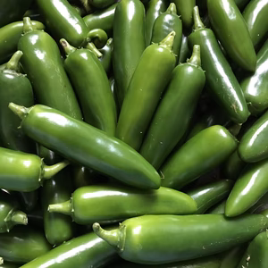 ハラペーニョ / jalapeno