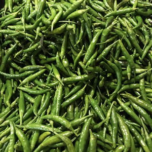 【青唐辛子】鷹の爪　150g (約70本)