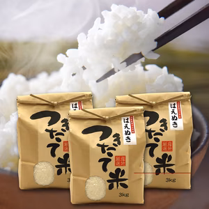 【11月中旬頃発送・送料無料】令和7年産 山形県産 はえぬき精米 9kg