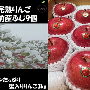 青森県産りんご 蜜入り 「冬ギフト」雪完熟りんごサンふじ９個入り「約３kg」