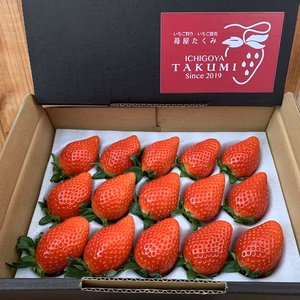 群馬県やよいひめ（いちご）約400g 群馬県いちご品評会最高金賞受賞