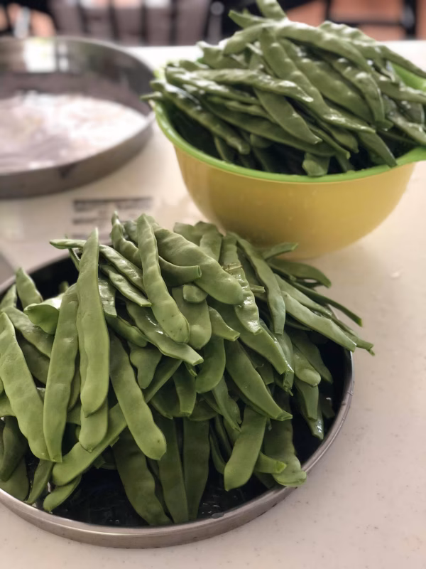 秋よ恋恋セット！四角豆＆黒/緑シシトウ＆モロッコいんげん～農薬不使用