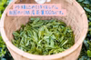 【新茶】川根茶　煎茶やまびこ100ｇ袋入×6袋〜(宅急便)