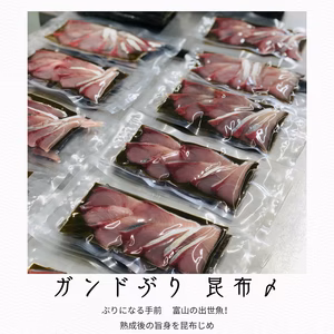 富山のガンドぶり昆布じめ　ぶりに出世する手前の魚！熟成昆布じめ　おかしらおまけ付