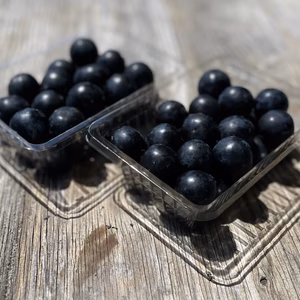 信州オリジナル【ナガノパープル】粒ぶどう [Np2]