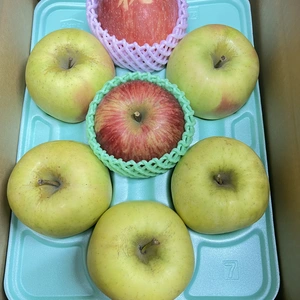 限定50箱‼️お祝いりんご詰め合わせ　3キロ7個〜9個入り