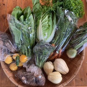 農薬不使用　熊本県八代産　野菜詰め合わせ　3kg