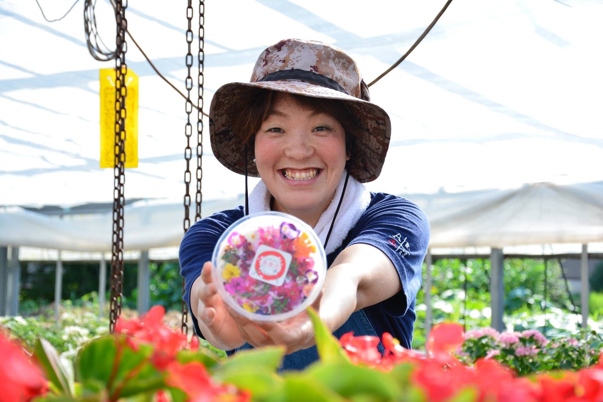 エディブルフラワー「美食花」白系｜野菜の商品詳細｜ポケットマルシェ