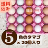 【福袋2022】ver.mini５色のタマゴセット×20個入り‼