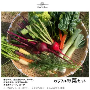 【群馬県知事出演！特別商品】特別カラフル西洋野菜セット