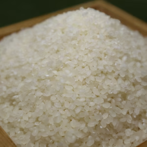 【美し国みえ安心安全食材】R4年 新米コシヒカリ 白米