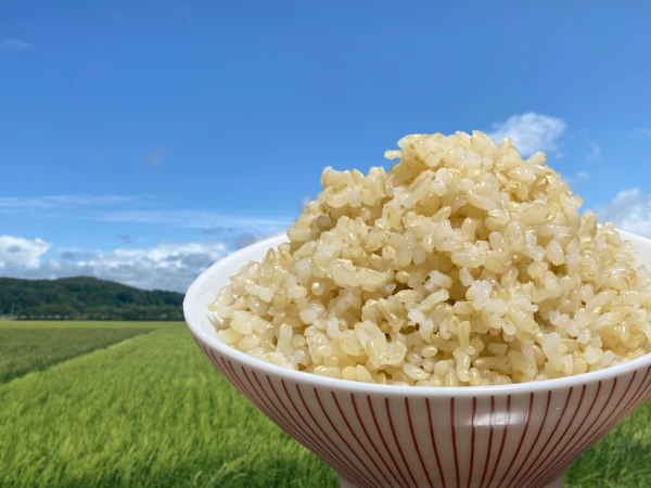 農薬・化学肥料不使用 R4年産『コシヒカリ』玄米5㎏【有機JAS認証