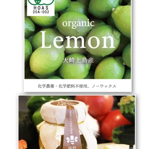 【夢のレモンハチミツセット始めます】オーガニックレモン1kg　みかんハチミツ3本
