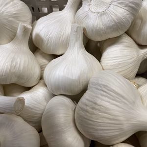 【A等級】青森県産ニンニク 中玉 1キロ