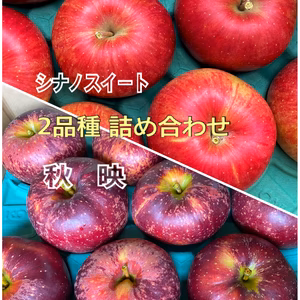 【秋りんご食べ比べセット】シナノスイートと秋映の2品種！！