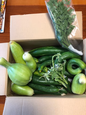 みんなの投稿の画像