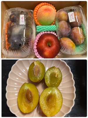 みんなの投稿の画像