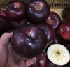 ほっぺが落ちる美味しさ【シナノホッペ】信州りんご新品種！
