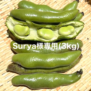 Surya様専用【新鮮そら豆】3kgタイプ