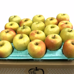 青森県産ぐんま名月　約4.5Kg【家庭用】希少!!数量限定