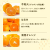 柑橘詰合せ（ご自宅用）