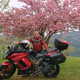 甲賀のニンジャ